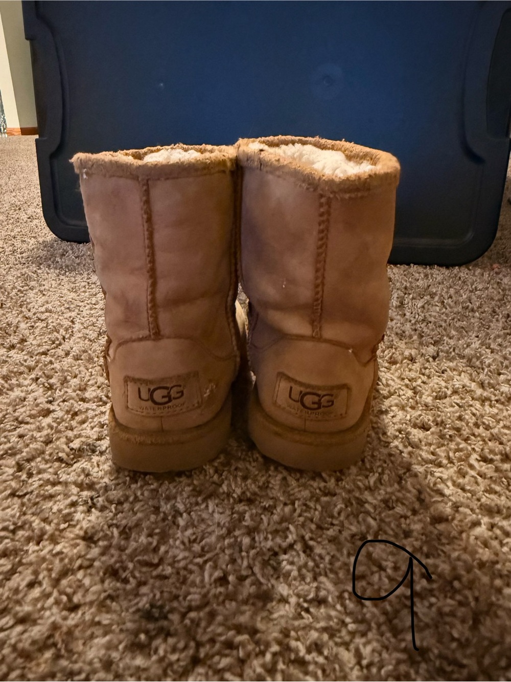 UGG Kids Chestnut Cozy Short Shearling Boots